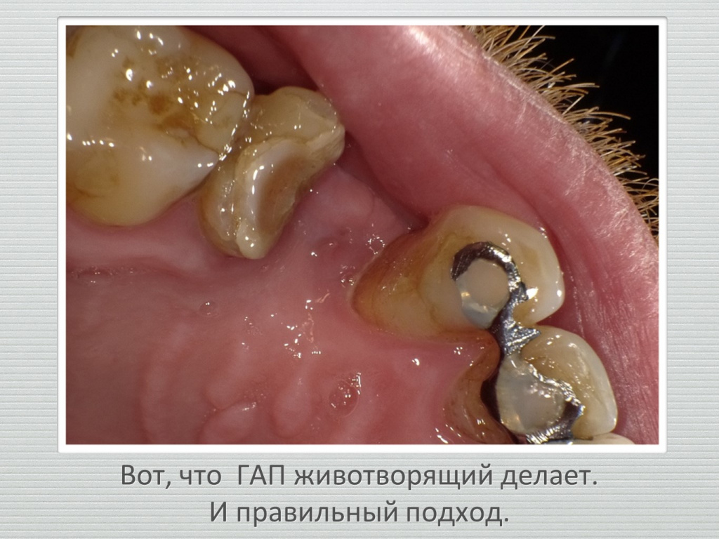 Ранозаживление